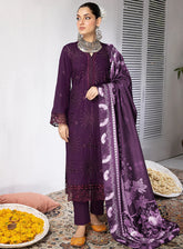 D#10 Mahnur Mehru Linen Winter Collection 923